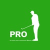 Swingtweaks Professional icon