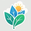 Aura Weather icon