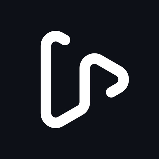 VidEffect: AI Video Effects