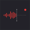 VoiceNotes: Audio Recordings - MobileTech OU