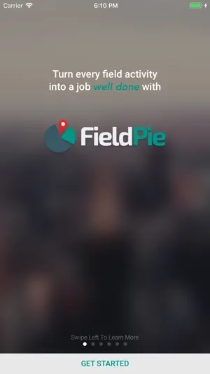 FieldPie screenshot 1