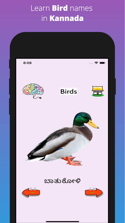 #9. Learn Kannada Flashcards (iOS) Podle: Bala Murugan Chandran