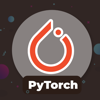 Learn Pytorch - Muhammad Mubeen