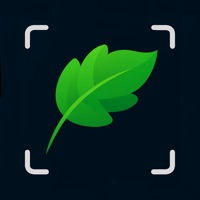 Leaf Identification: Leafzy app icon - Education app for iPhone