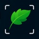 Leaf Identification: Leafzy app icon - Education app for iPhone