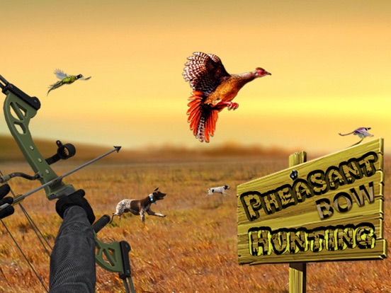 Screenshot #4 pour Faisan Arc De Chasse Pro