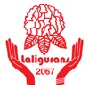 Laligurans mBank icon