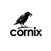 Cornix - Cornix 10 LTD