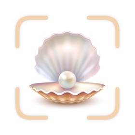 Sea Shell Identifier - Shellie