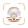 Get Sea Shell Identifier - Shellie for iOS, iPhone, iPad Aso Report