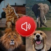 Animal Sounds Ringtone icon