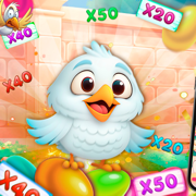 Bird genetics cards and tasks