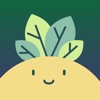 Plant Identifier, Care: Planty icon