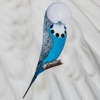 Budgerigar icon