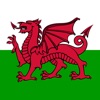 Welsh Trainer icon