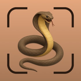 Snake Identifier: SerpentID