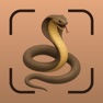 Get Snake Identifier: SerpentID for iOS, iPhone, iPad Aso Report