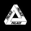 PALACE App Feedback