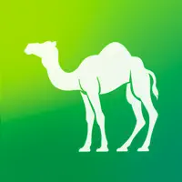 Camel Live