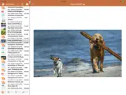 icodeeditor iPad Captures Décran 2