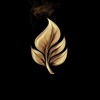 Ash Tag icon