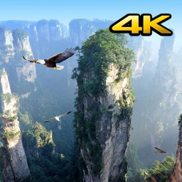 Vidéos d'arrière-plan 4K