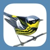 Sibley Birds 2nd Edition - iPhoneアプリ