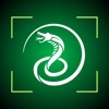 Snake Identifier - SnakeSnap