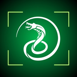 Snake Identifier - SnakeSnap