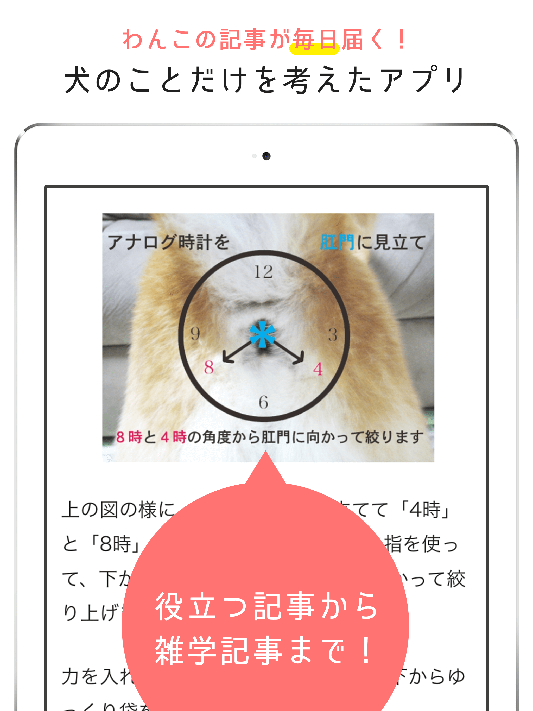 犬のニュースや飼い方の情報をまとめ読み -わんちゃんホンポ-