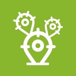 קקטוס שליחויות