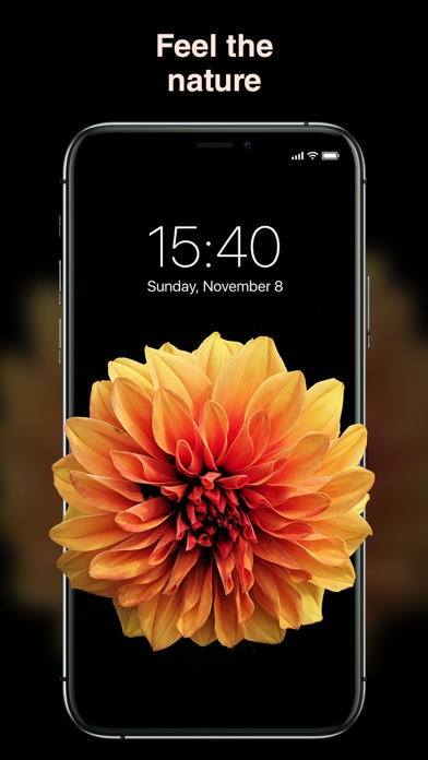 Best Wallpapers 4K Screenshot