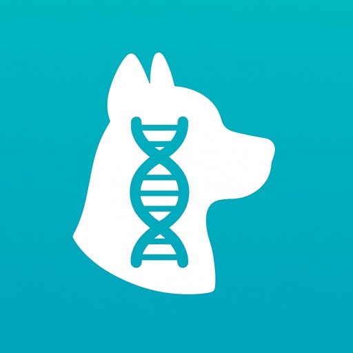 DogAge: Dog Age Calculator