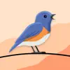 Chirpy Challenge App Feedback