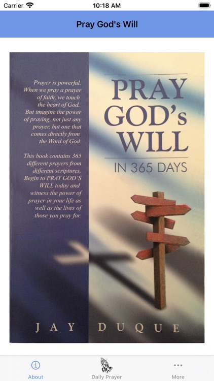 Pray God's Will - In 365 Days