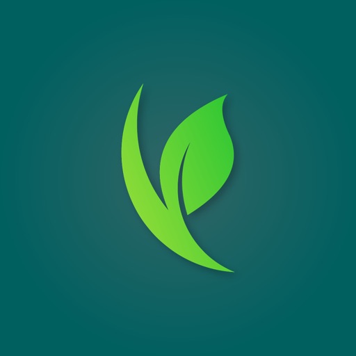 Self Care-Daily Wellness Guide