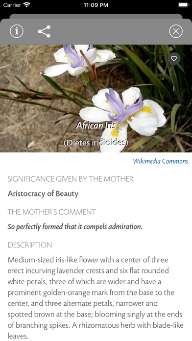 Flower Song Screenshot 3 of 8