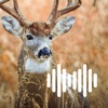 Hunting Calls: Deer icon