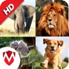 150+ Animal Sounds Lite icon
