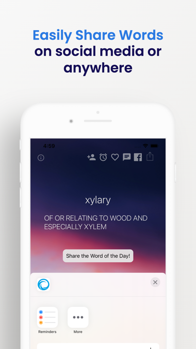 Word of the Day Widget · Screenshot