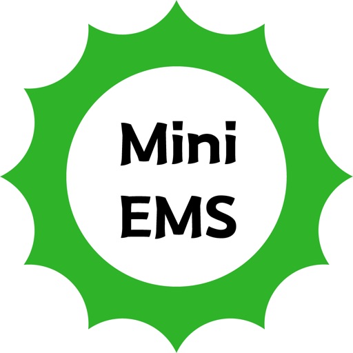 Mini EMS