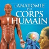 Quizz:Anatomie du Corps Humain