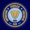 Club Pumas Association icon
