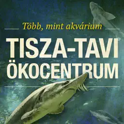 Tisza-tavi Ökocentrum app icon