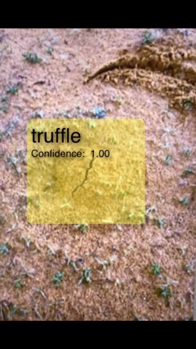 فقع Truffle Screenshot