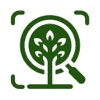Forest Tree Identification