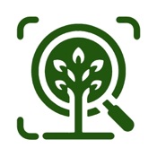 Forest Tree Identification