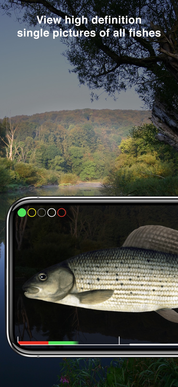 Fishguide Badenia-Wurttemberg iphone screenshot 4