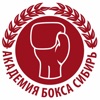 Академия Бокса Новосибирск icon