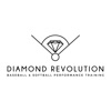 Diamond Revolution icon